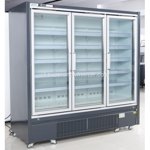 Supermarket Kabinet Freezer Display Pintu Kaca Tegak